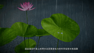憎水玻璃丨雨天視野更清晰